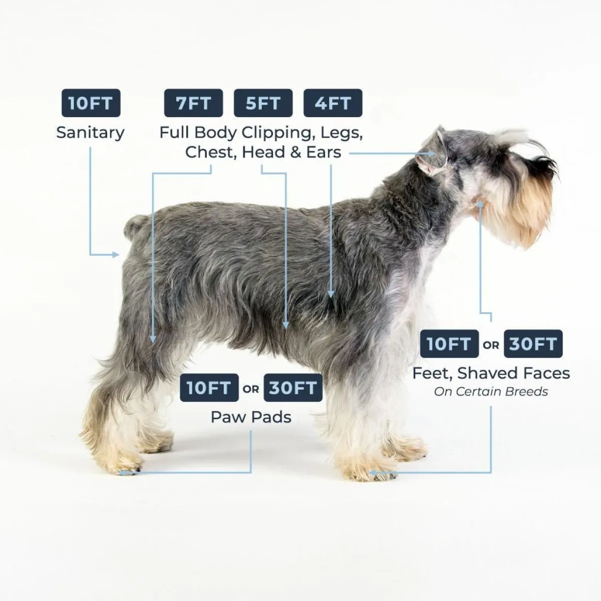 andis_ceramicedge_pet_grooming_clipper_blades_3.webp Ryan's Pet Supplies Andis CeramicEdge Pet Grooming Clipper Blades
