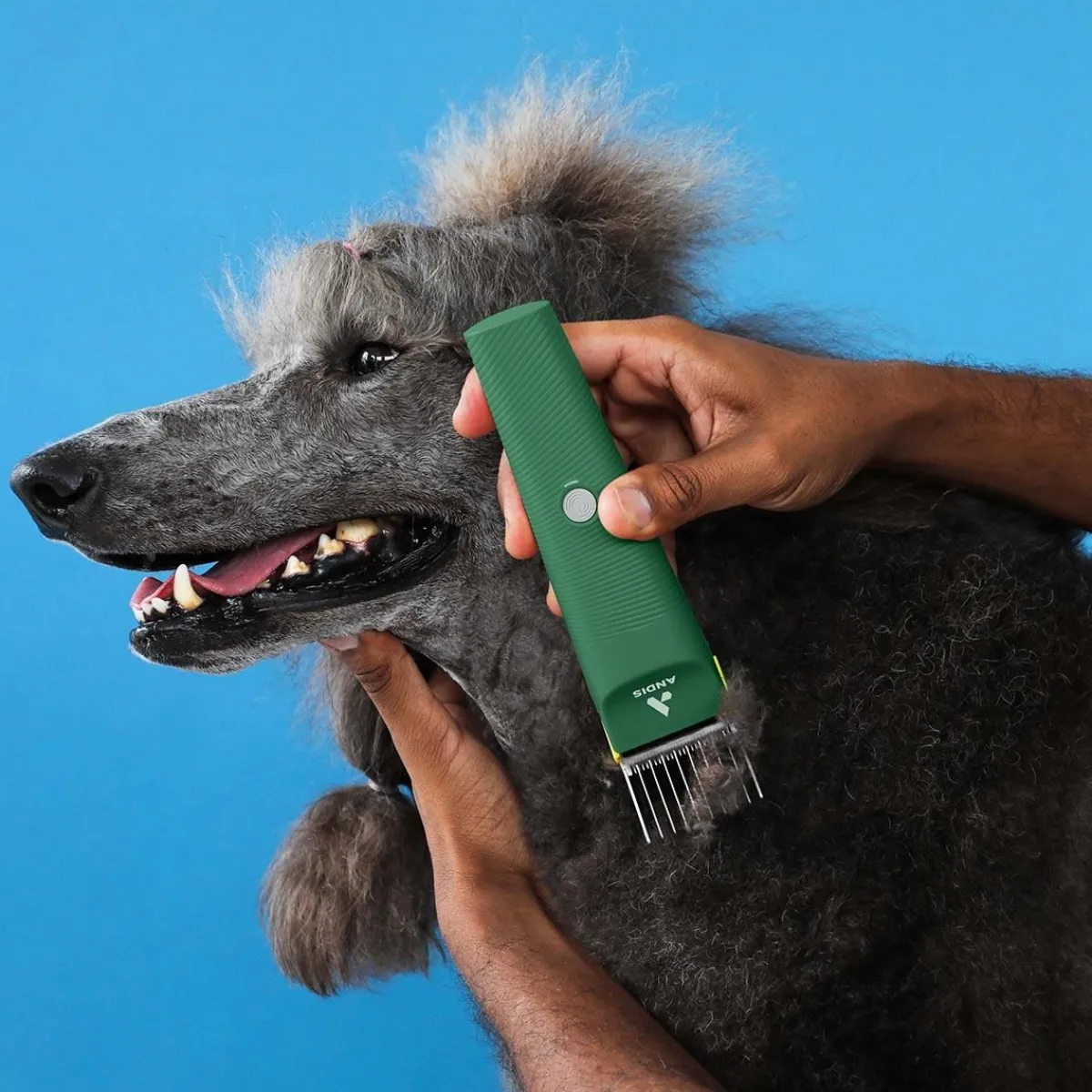 Ryan's Pet Supplies Andis Green Vida Cordless Clipper - Lithium-ion Power