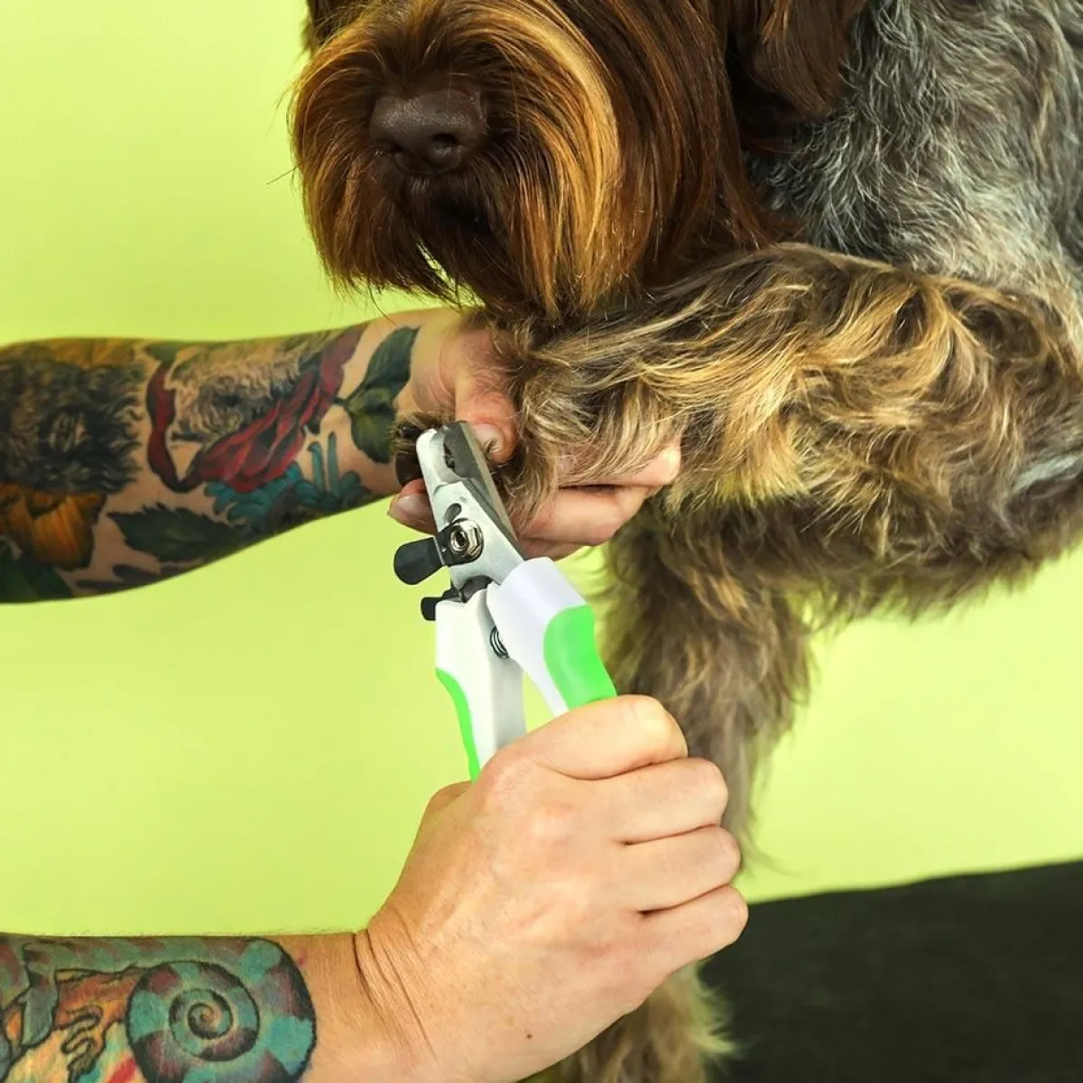 andis_nail_clipper__large_3.webp Ryan's Pet Supplies Andis Nail Clipper - Large