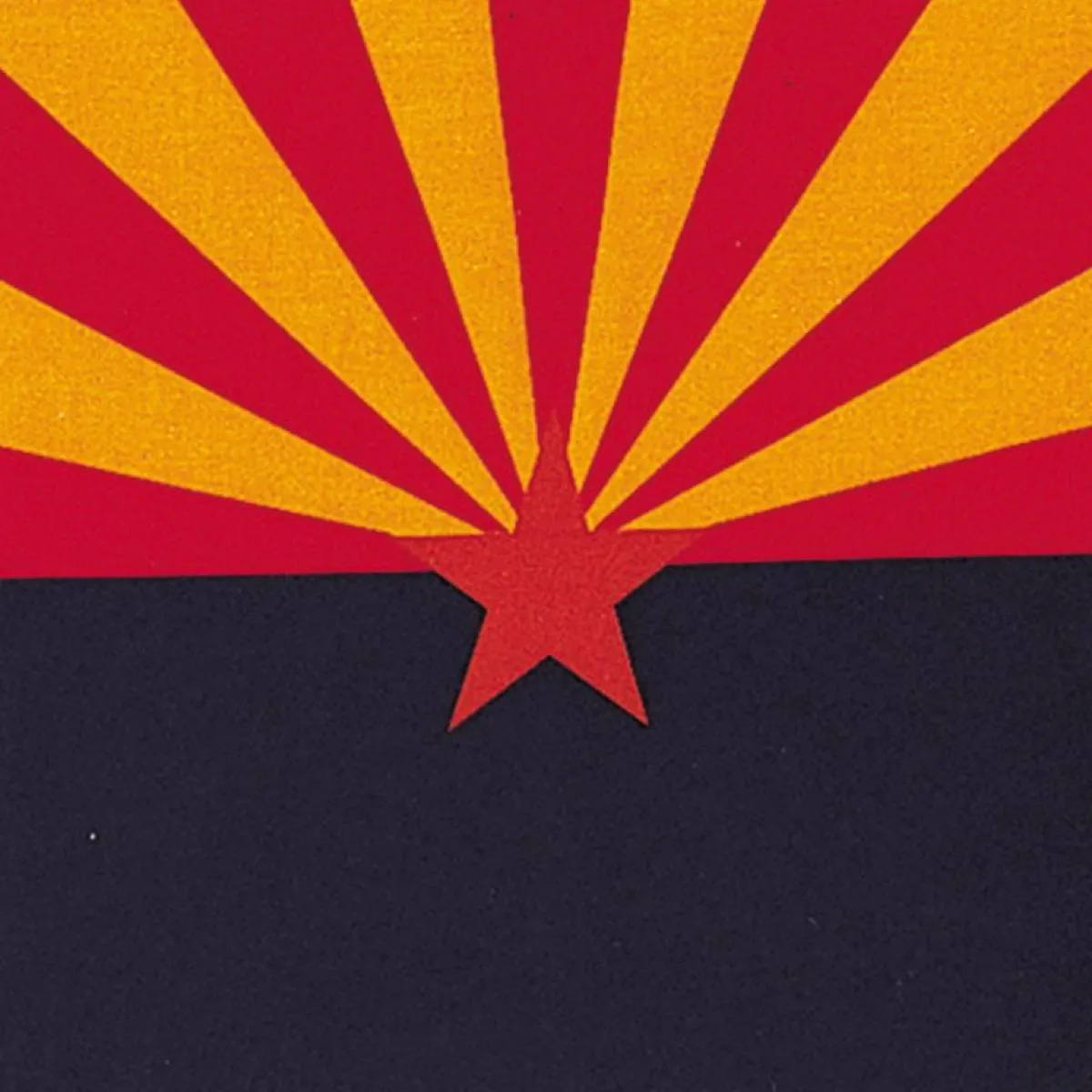 Ryan's Pet Supplies Arizona Bandana