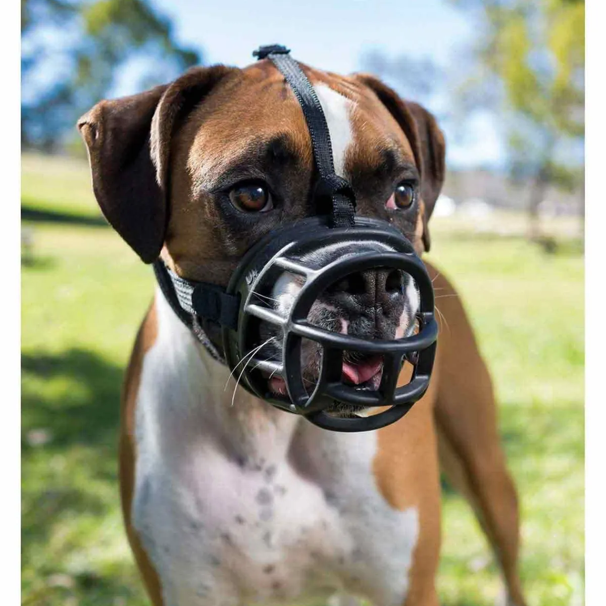 Ryan's Pet Supplies Baskerville Ultra Muzzle Size 6 Great Dane