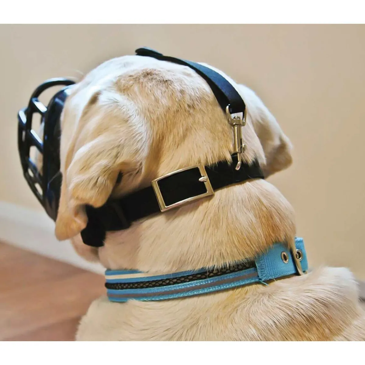 Ryan's Pet Supplies Baskerville Ultra Muzzle Size 4 Springer