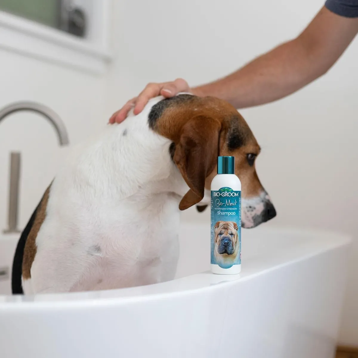 Ryan's Pet Supplies Bio-Groom Bio-Med Veterinary Strength Topical Solution Dog Shampoo