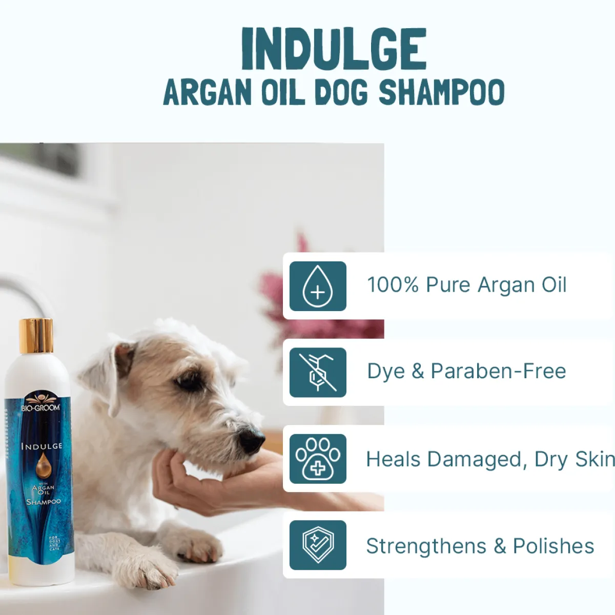 biogroom_indulge_shampoo__4.webp Ryan's Pet Supplies Bio-Groom Indulge Shampoo 4:1