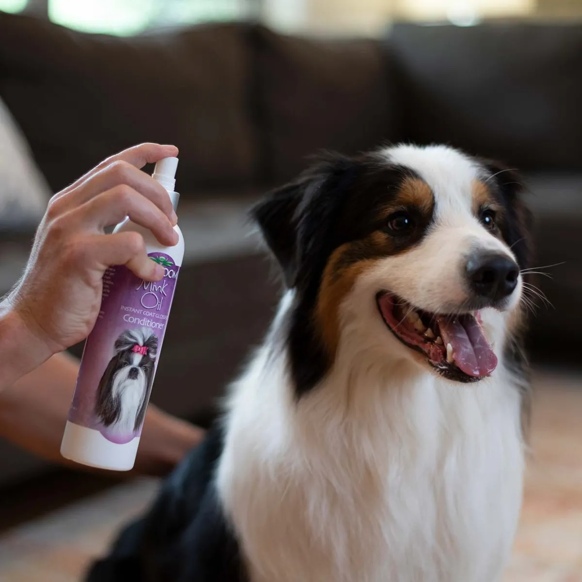 biogroom_mink_oil_spray_2.webp Ryan's Pet Supplies Bio-Groom Mink Oil Spray