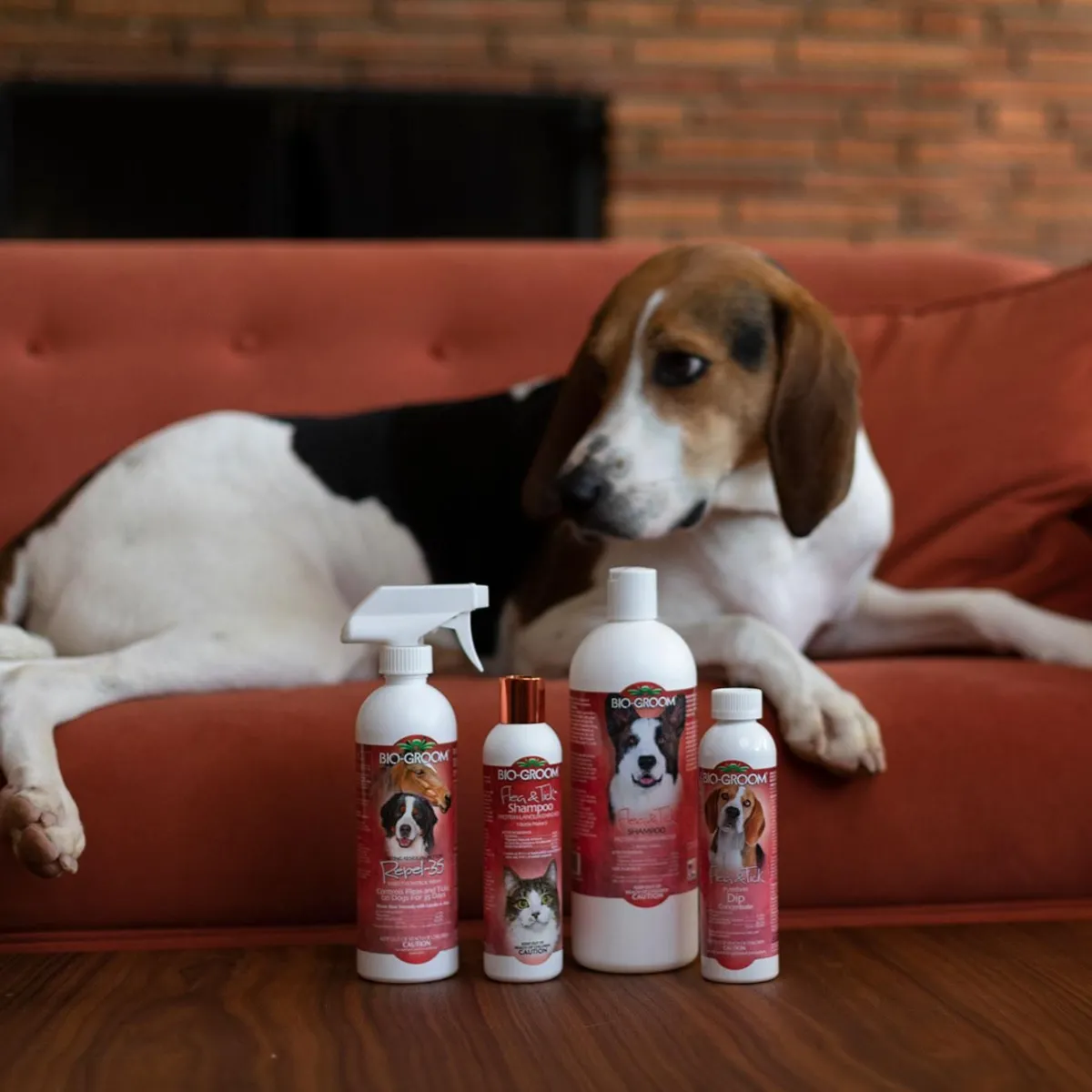 Ryan's Pet Supplies Bio-Groom Natural Flea & Tick Pet Shampoo (12oz.)