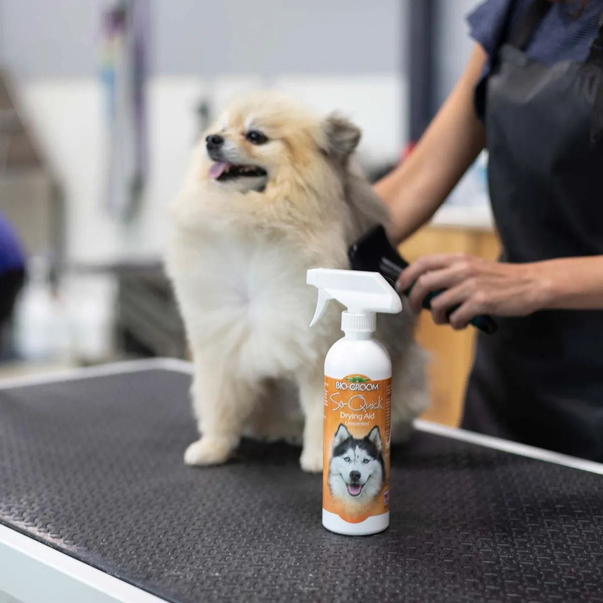 biogroom_so_quick_spray_2.webp Ryan's Pet Supplies Bio-Groom So Quick Spray