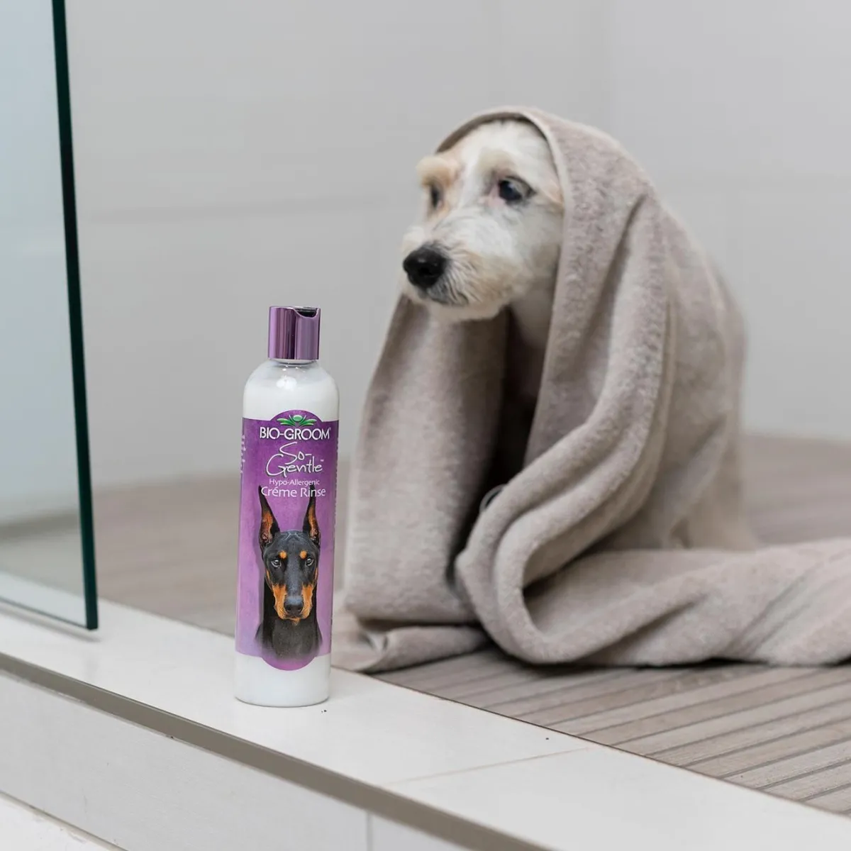 biogroom_sogentle_conditioner__2.webp Ryan's Pet Supplies Bio-Groom So-Gentle Conditioner 4:1