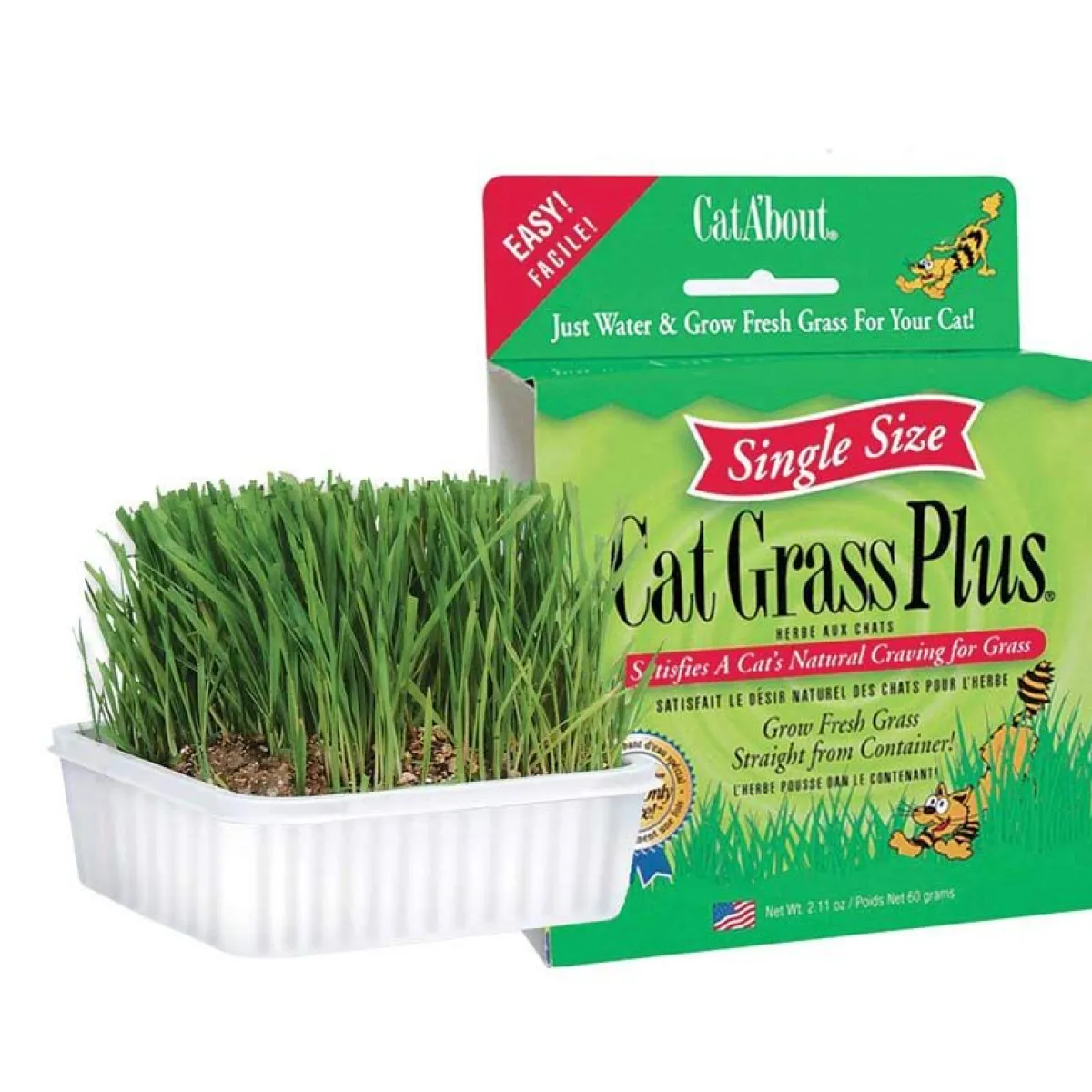 Ryan's Pet Supplies Cat Grass Plus -  Grow Grass in 1 Week (single size)