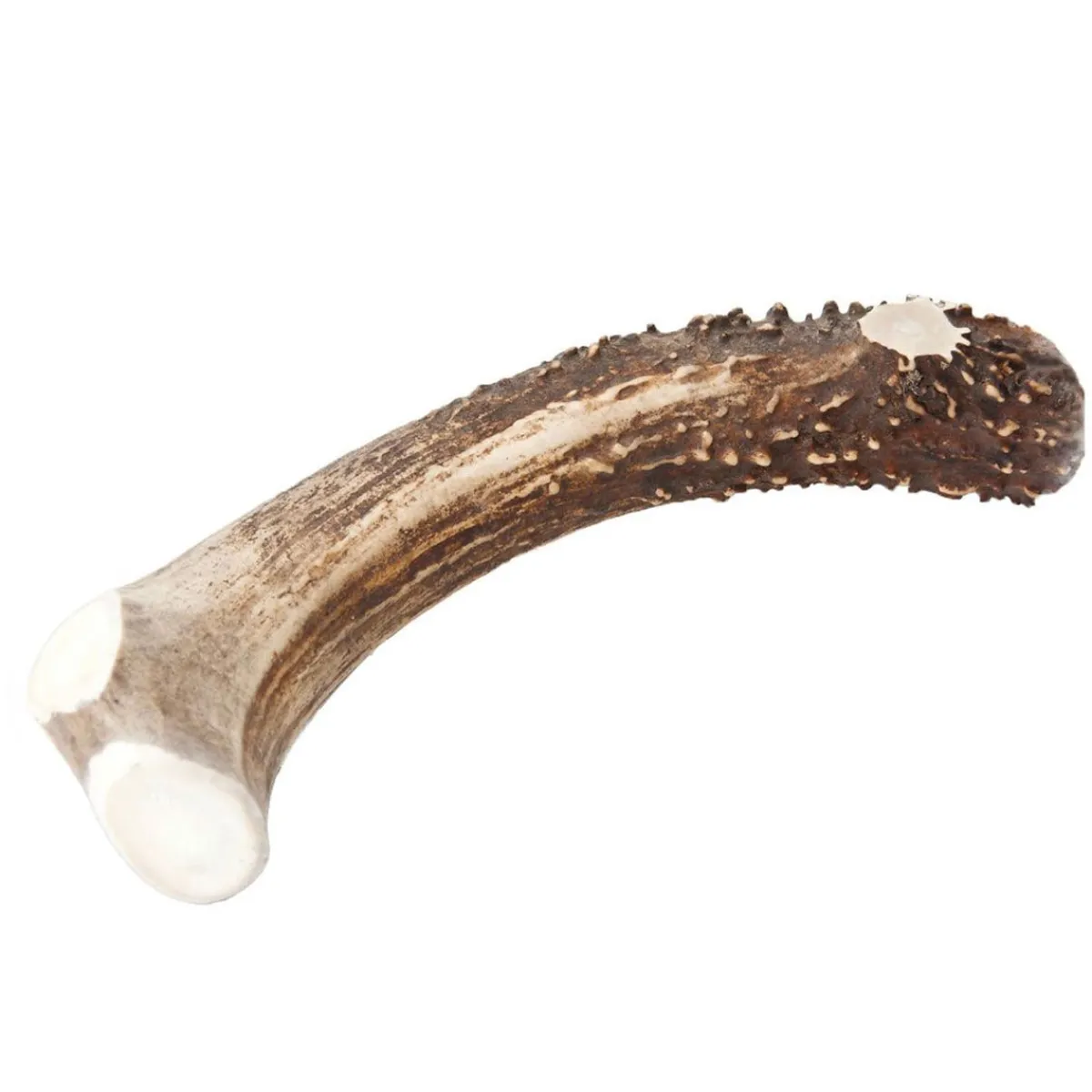 Ryan's Pet Supplies Chasing Our Tails Deer Antler Snacks