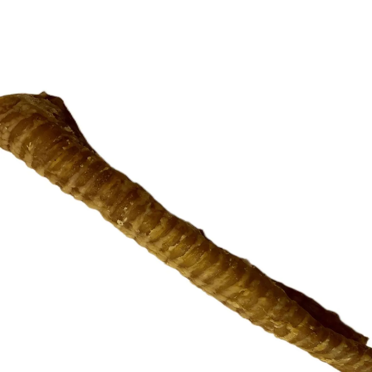 Ryan's Pet Supplies Chasing our Tails Half Smoked Beef Trachea