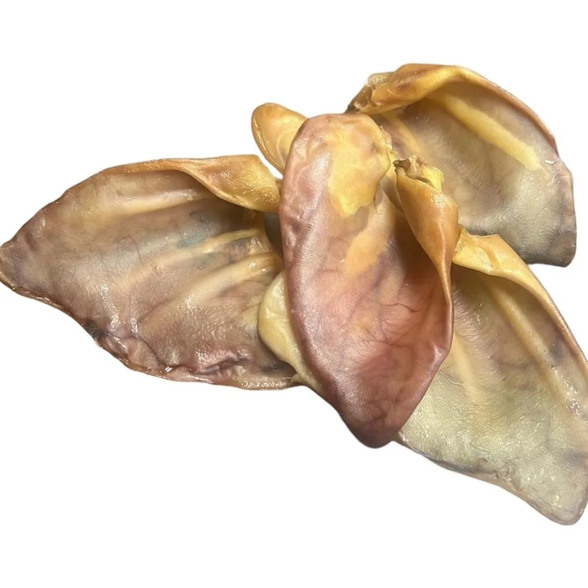 Ryan's Pet Supplies Chasing Our Tails Pig Ears 50 pk
