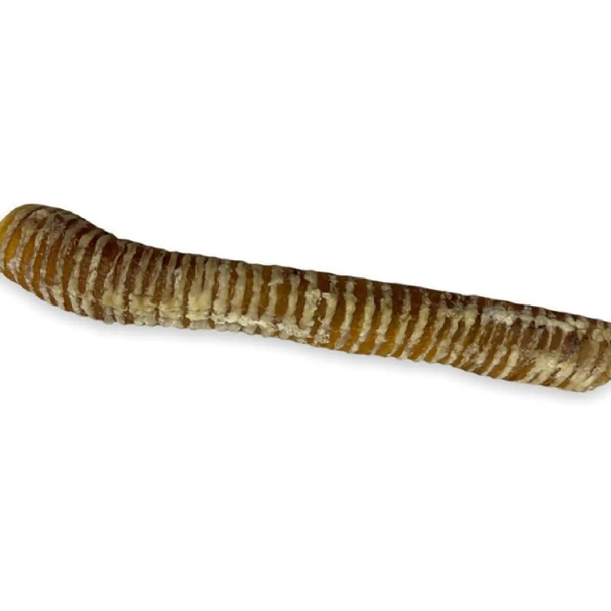 Ryan's Pet Supplies Chasing our Tails Whole Smoked Beef Trachea