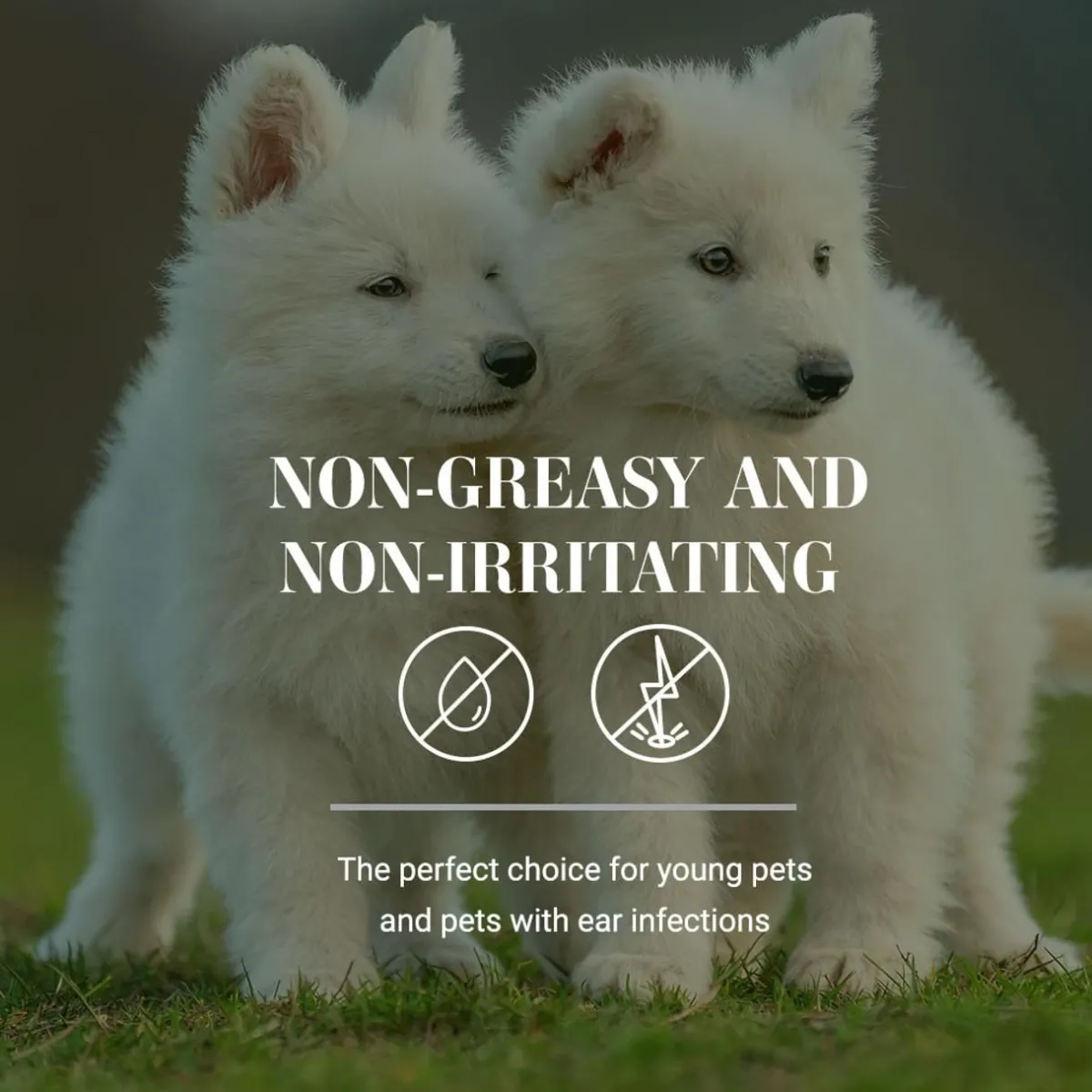 chris_christensen_mystic_ear_cleaner_for_pets_3.webp Ryan's Pet Supplies Chris Christensen Mystic Ear Cleaner for Pets