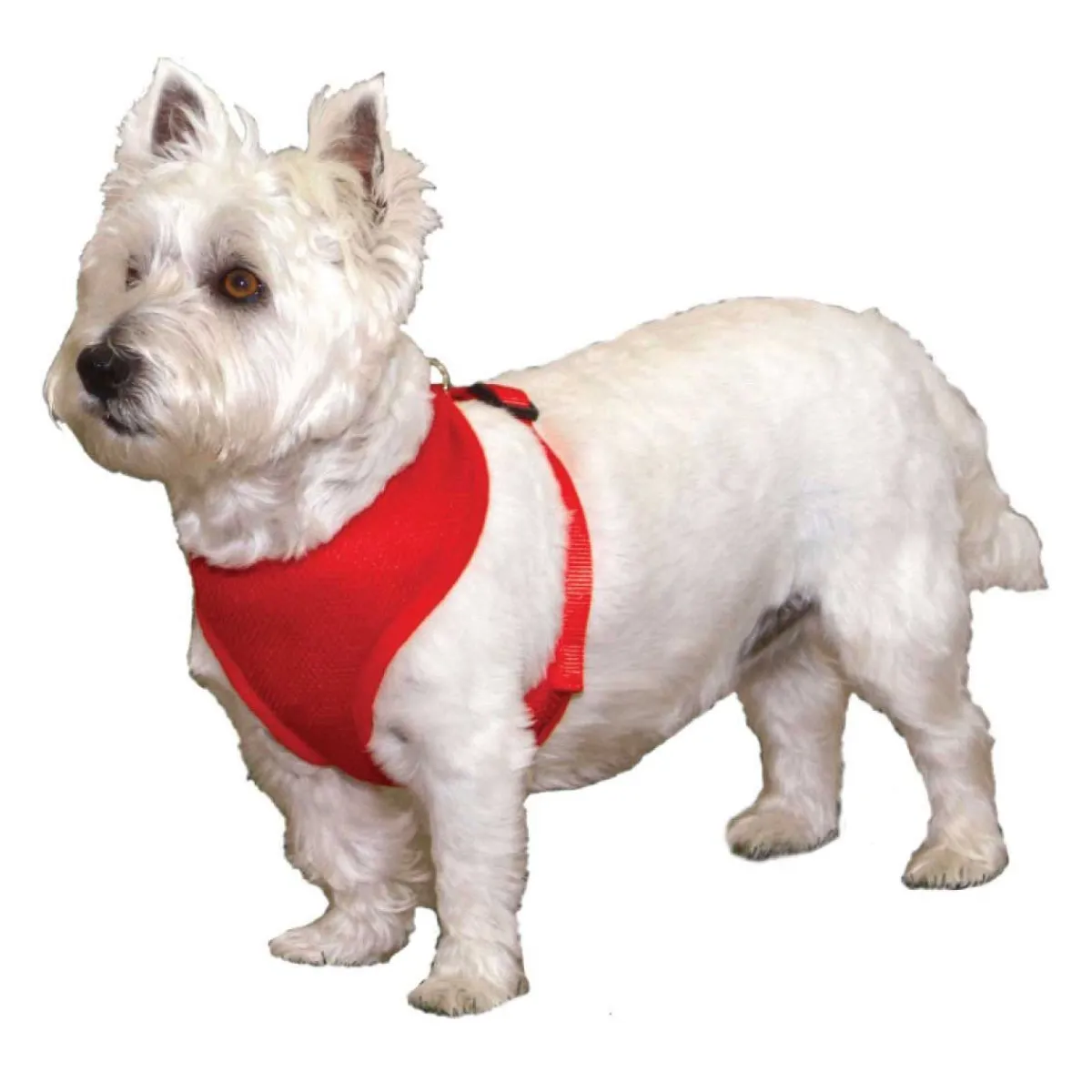 coastal_comfort_mesh_dog_harness__xxsmall_lbs_2.webp Ryan's Pet Supplies Coastal Comfort Mesh Dog Harness - XX-Small (5-7lbs)