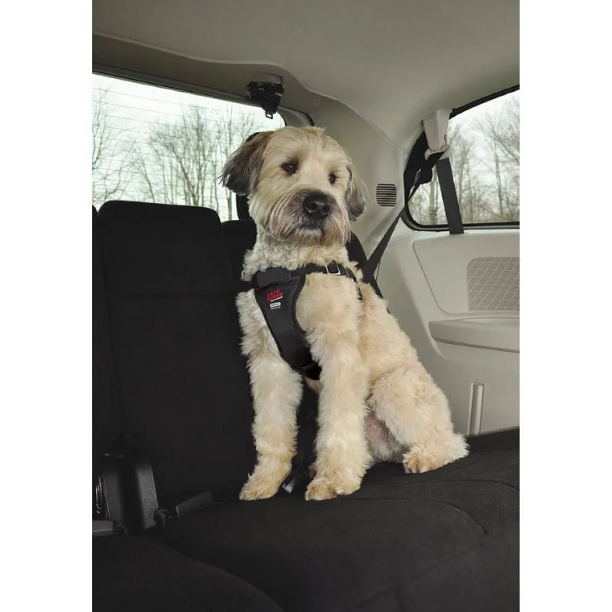 Ryan's Pet Supplies Coastal Easy Rider In Car Harness for Dogs - Small
