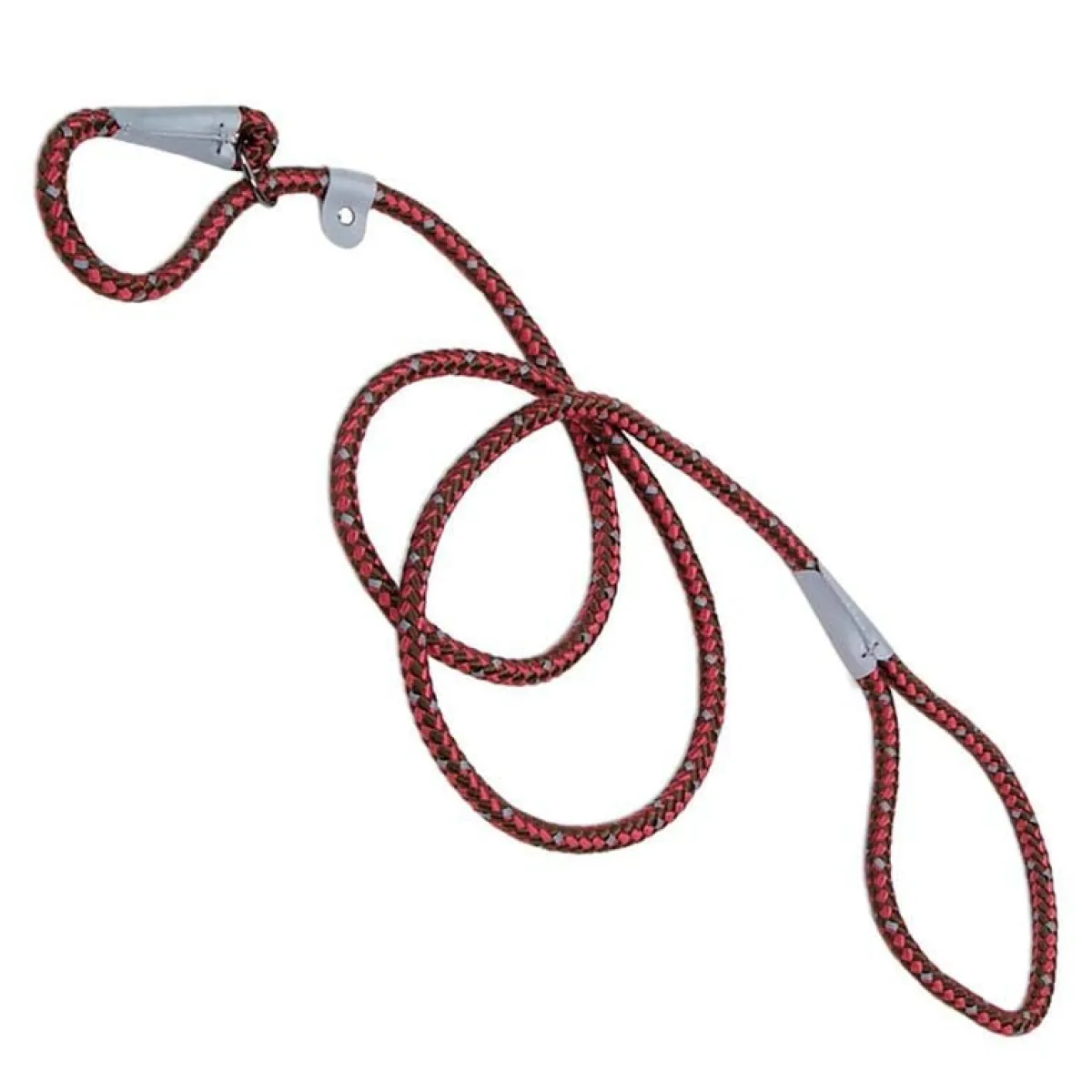 Ryan's Pet Supplies Coastal K9 Explorer Braided Rope Slip Leash 6'