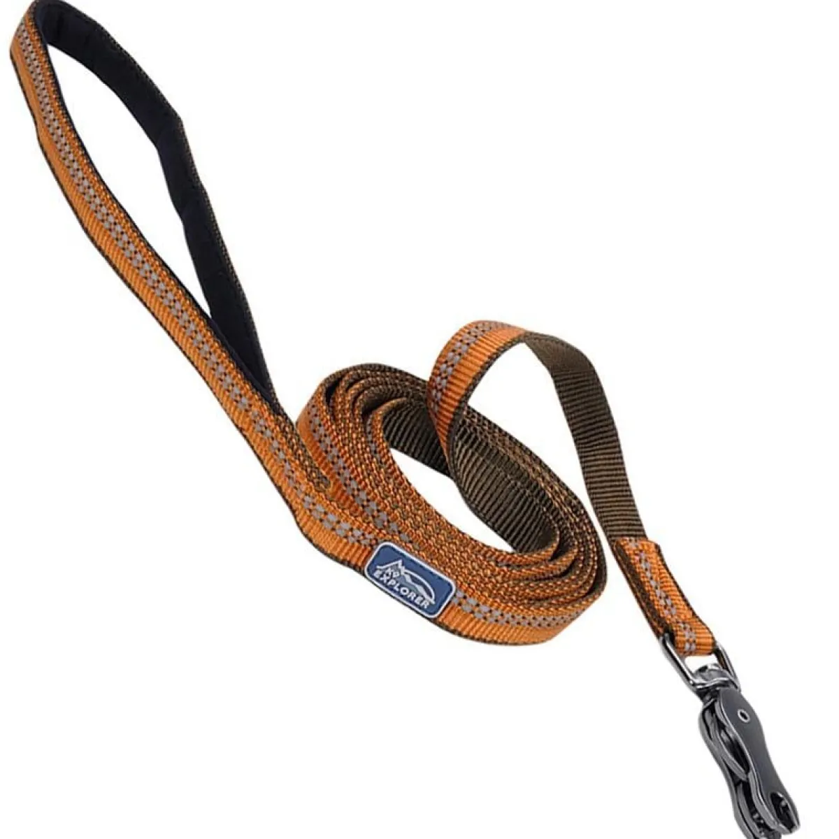 Ryan's Pet Supplies Coastal K9 Explorer Leash 5/8" x 6'
