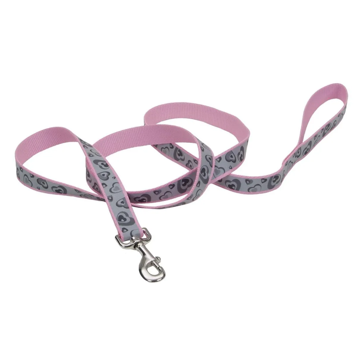 Ryan's Pet Supplies Coastal Lazer Brite Reflective Dog Leash - 1" x 6'