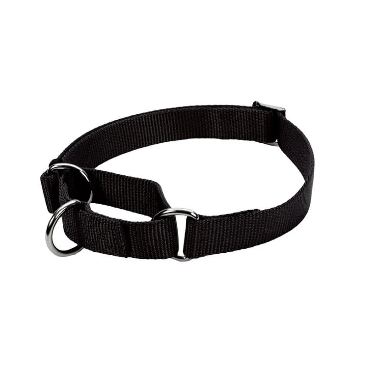 Ryan's Pet Supplies Coastal No Slip! Martingale Collar - Medium 3/4"