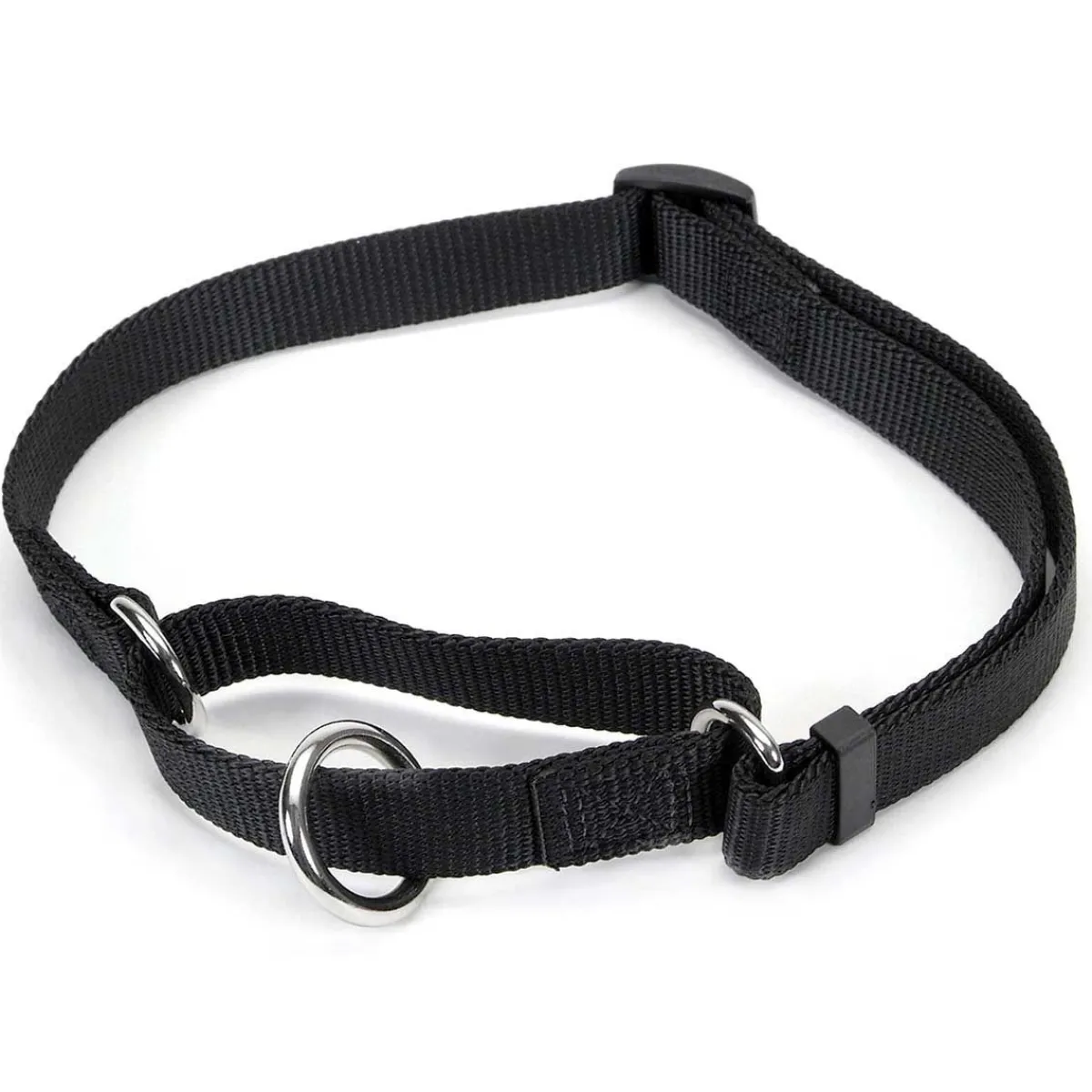 Ryan's Pet Supplies Coastal No Slip! Martingale Collar - Medium 3/4"