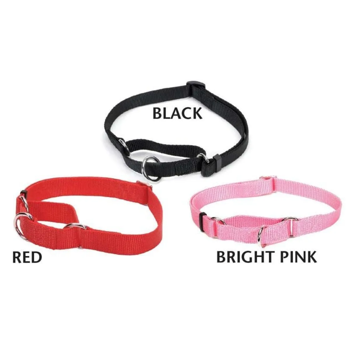 coastal_no_slip_martingale_collar__medium_quot_2.webp Ryan's Pet Supplies Coastal No Slip! Martingale Collar - Medium 3/4"