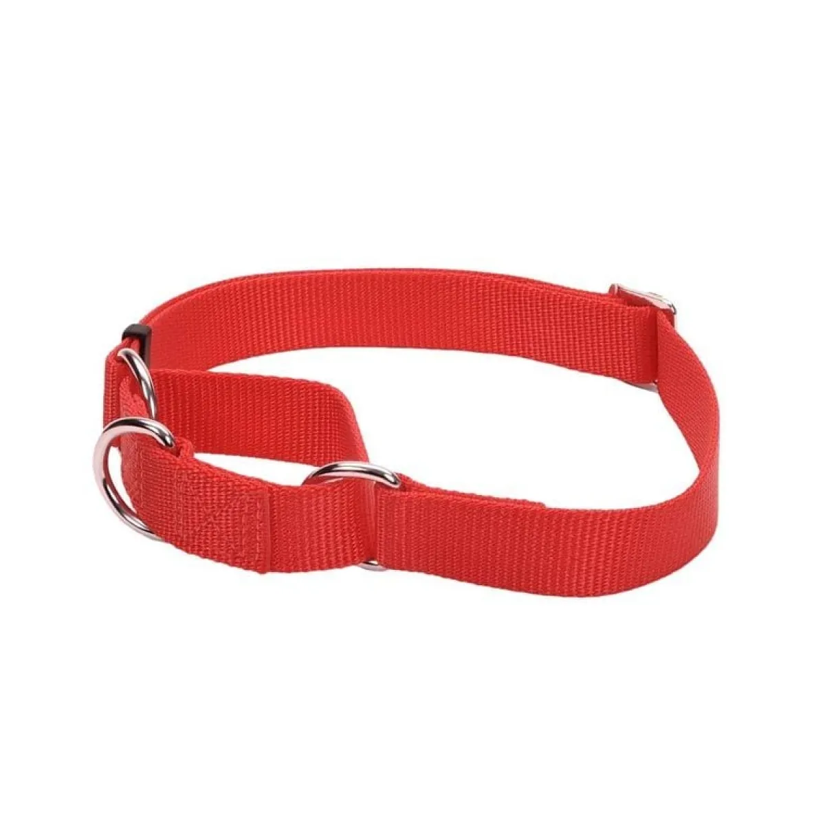 coastal_no_slip_martingale_collar__medium_quot_4.webp Ryan's Pet Supplies Coastal No Slip! Martingale Collar - Medium 3/4"