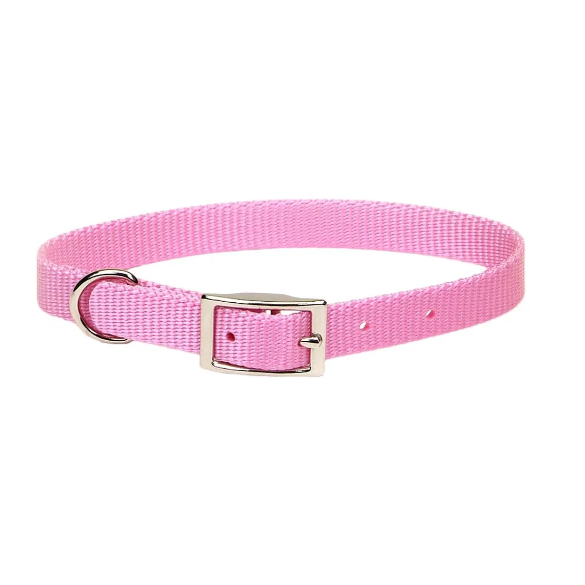 coastal_nylon_dog_collars__3.webp Ryan's Pet Supplies Coastal Nylon Dog Collars 5/8''