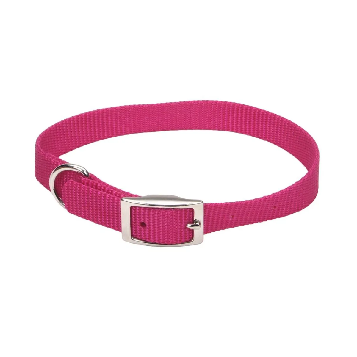 coastal_nylon_dog_collars__4.webp Ryan's Pet Supplies Coastal Nylon Dog Collars 5/8''