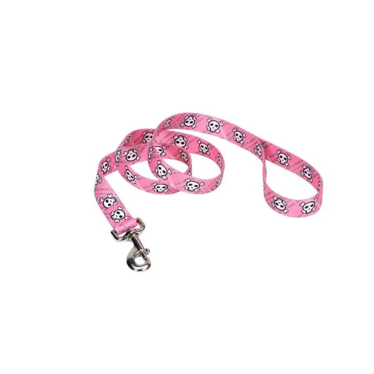 Ryan's Pet Supplies Coastal Nylon Dog Leash (4' x 3/4'')
