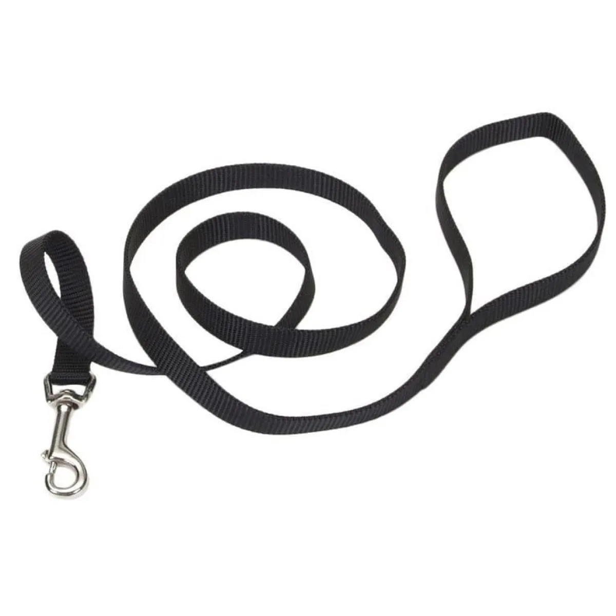 Ryan's Pet Supplies Coastal Nylon Dog Leash for Small Breeds 6' x 1"