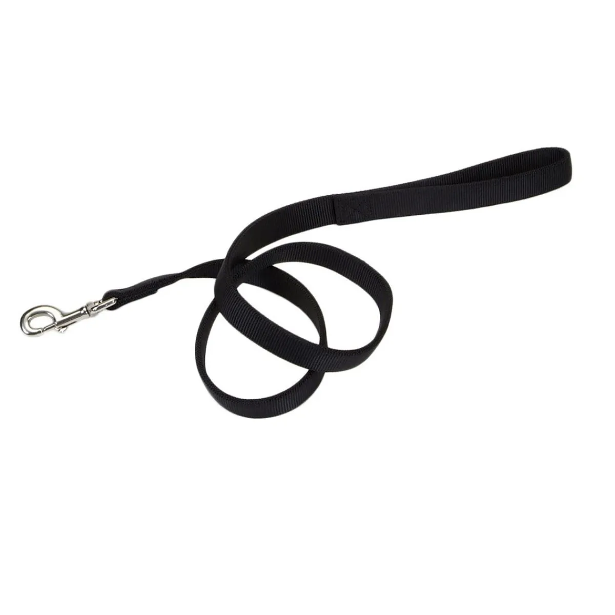 Ryan's Pet Supplies Coastal Nylon Leads 2 Ply 6' X 1''