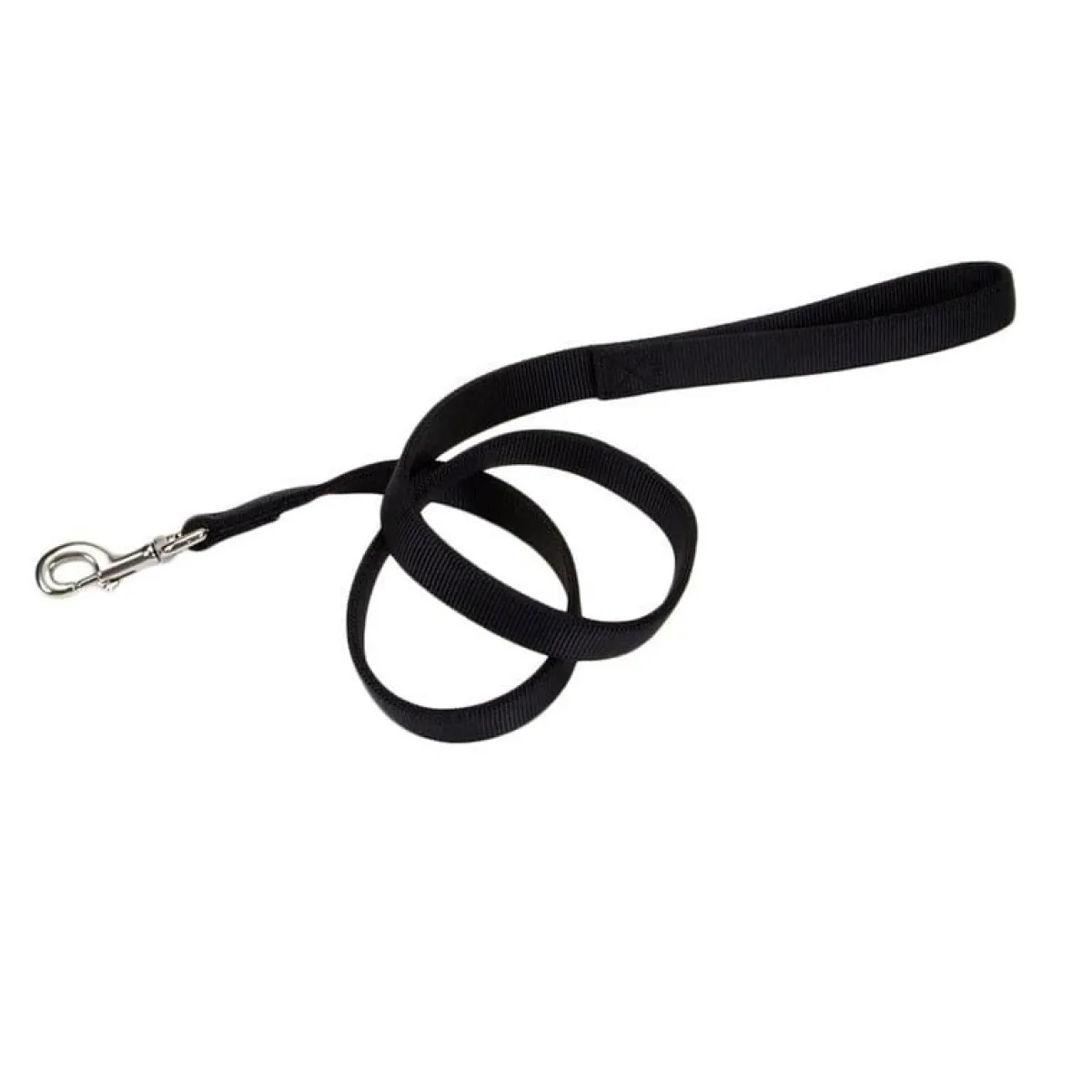 Ryan's Pet Supplies Coastal Nylon Leads 2 Ply 4' X 1''