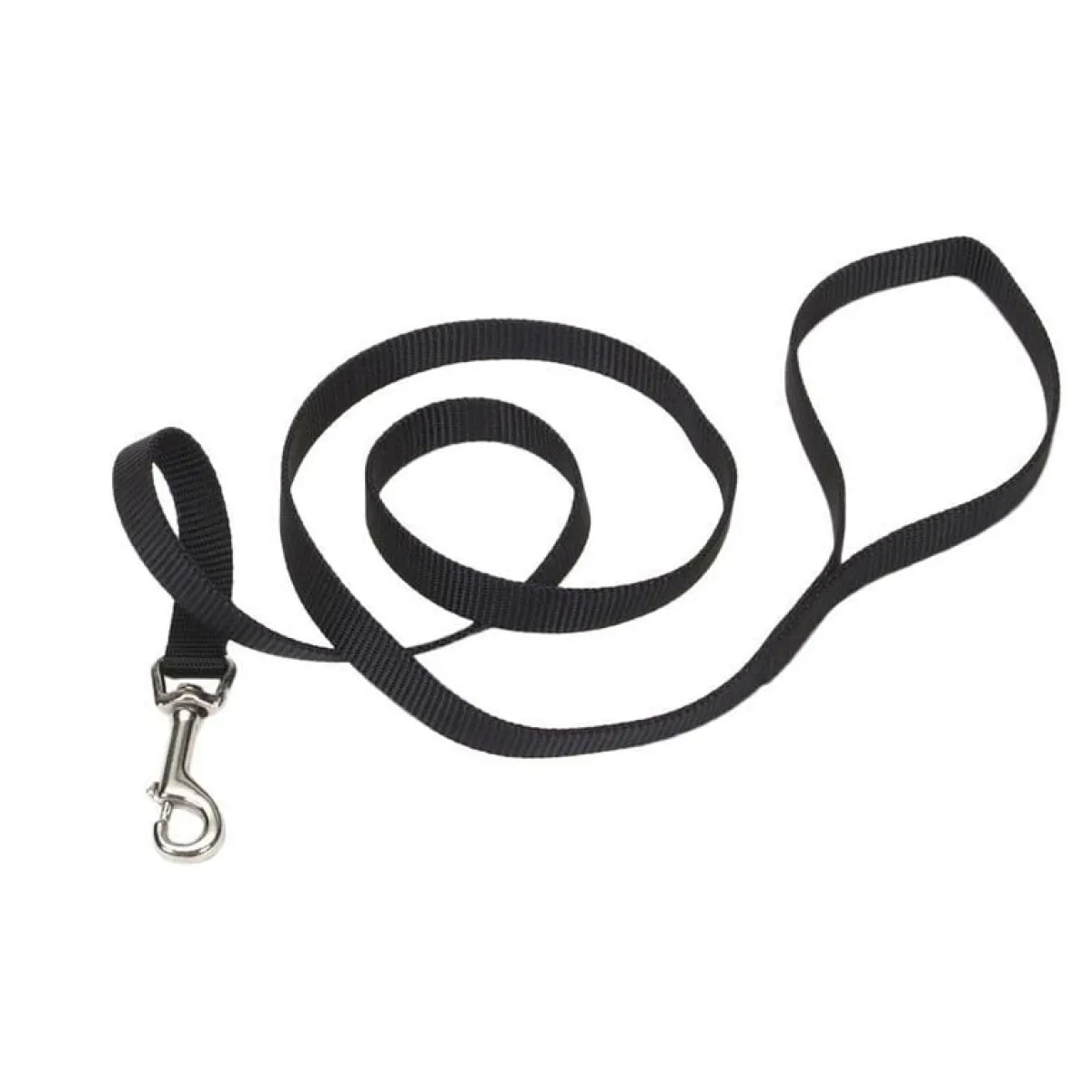 Ryan's Pet Supplies Coastal Nylon Leads 4' X 5/8''