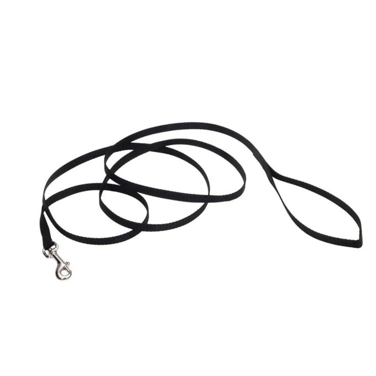 Ryan's Pet Supplies Coastal Nylon Leads 4' X 3/8''