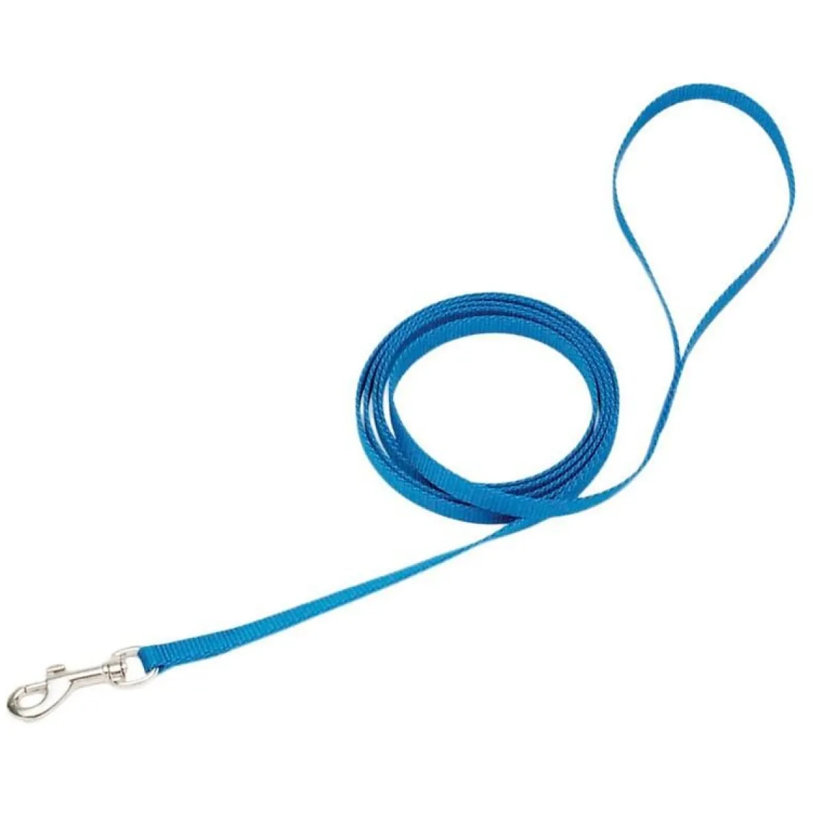 Ryan's Pet Supplies Coastal Nylon Leads 6' X 3/8''