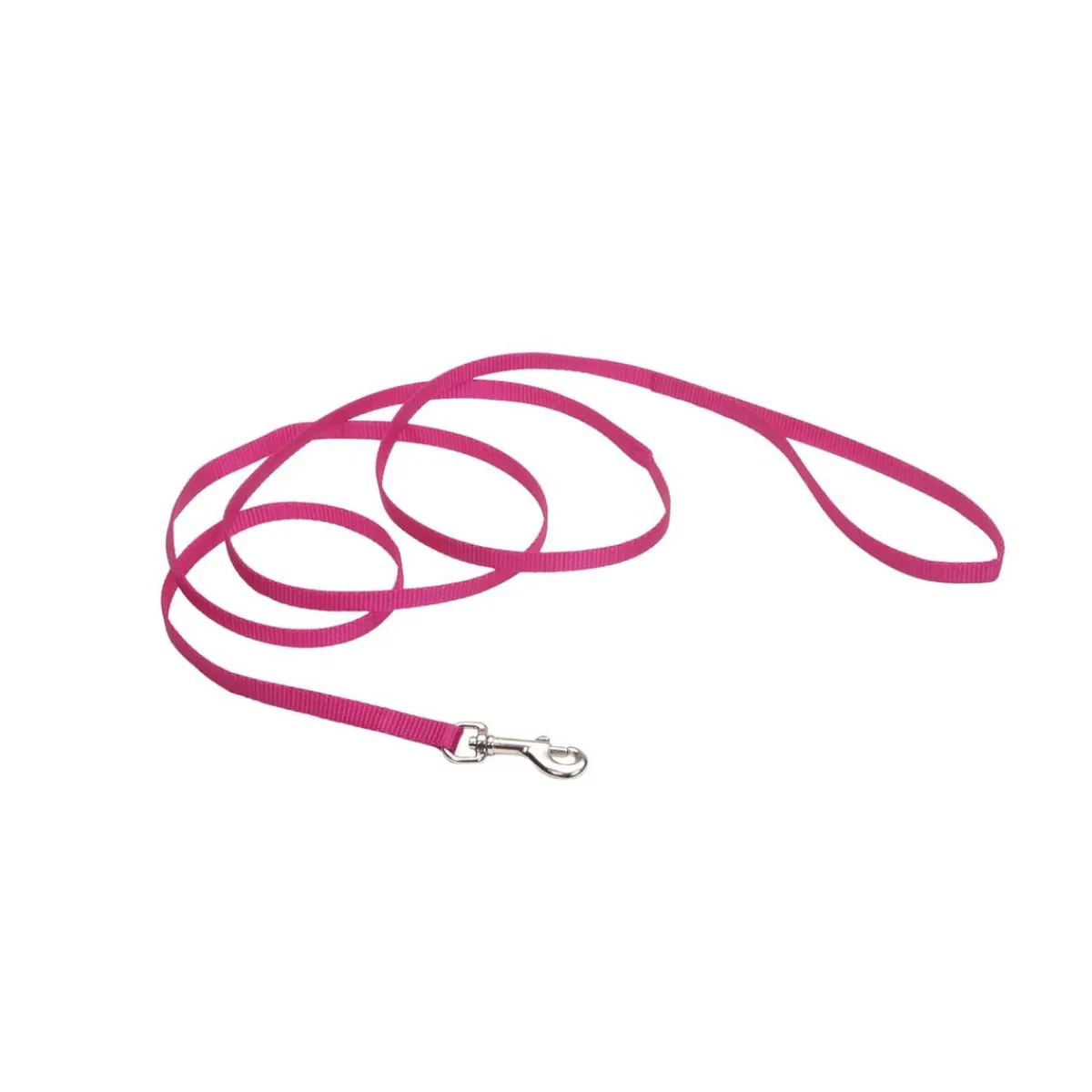 coastal_nylon_leads__x__4-3.webp Ryan's Pet Supplies Coastal Nylon Leads 6' X 3/8''