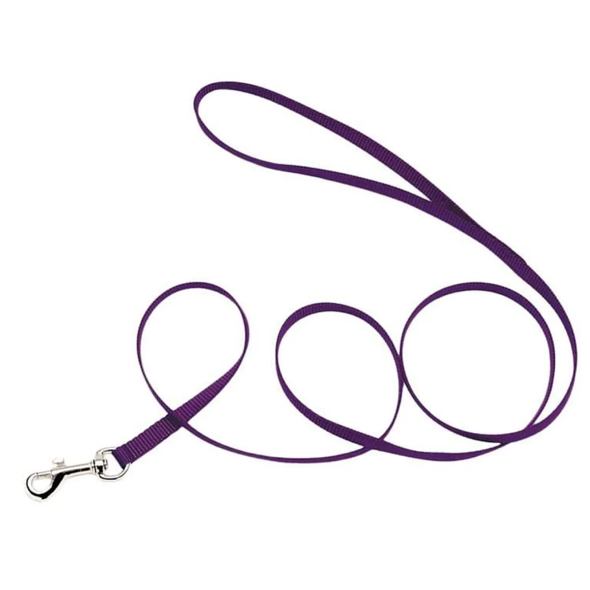 coastal_nylon_leads__x__5-3.webp Ryan's Pet Supplies Coastal Nylon Leads 6' X 3/8''