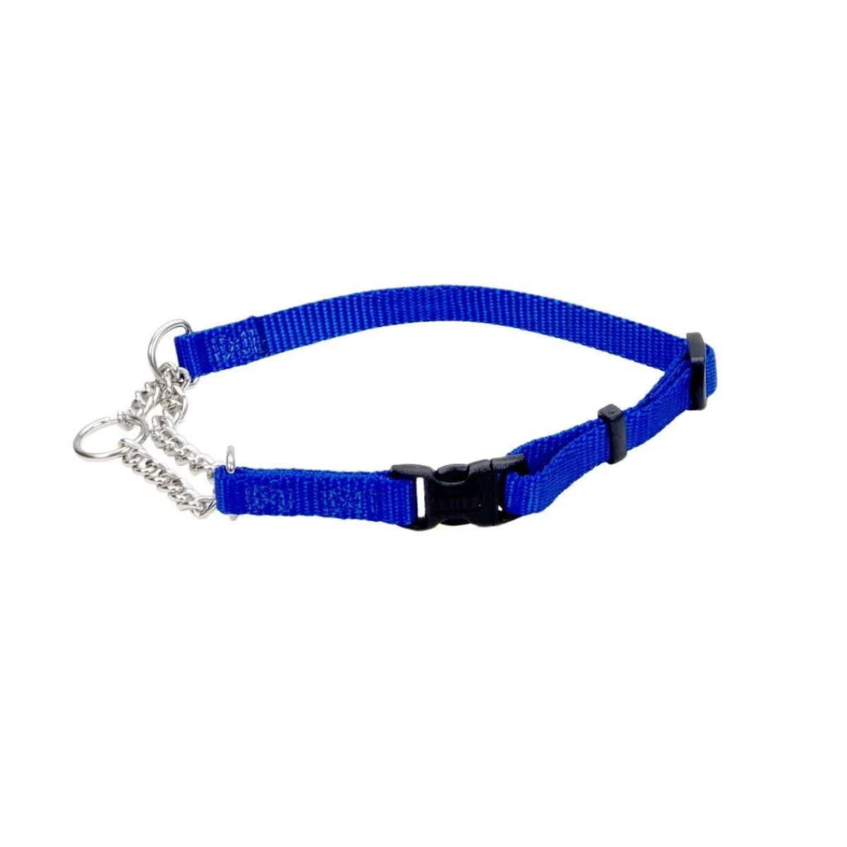 Ryan's Pet Supplies Coastal 3/8" Check Training Collar With Buckle (11" - 15")