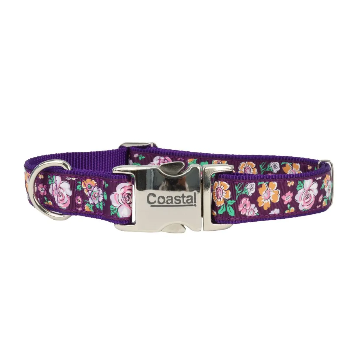Ryan's Pet Supplies Coastal Ribbon Adjustable Dog Collar With Metal Buckle