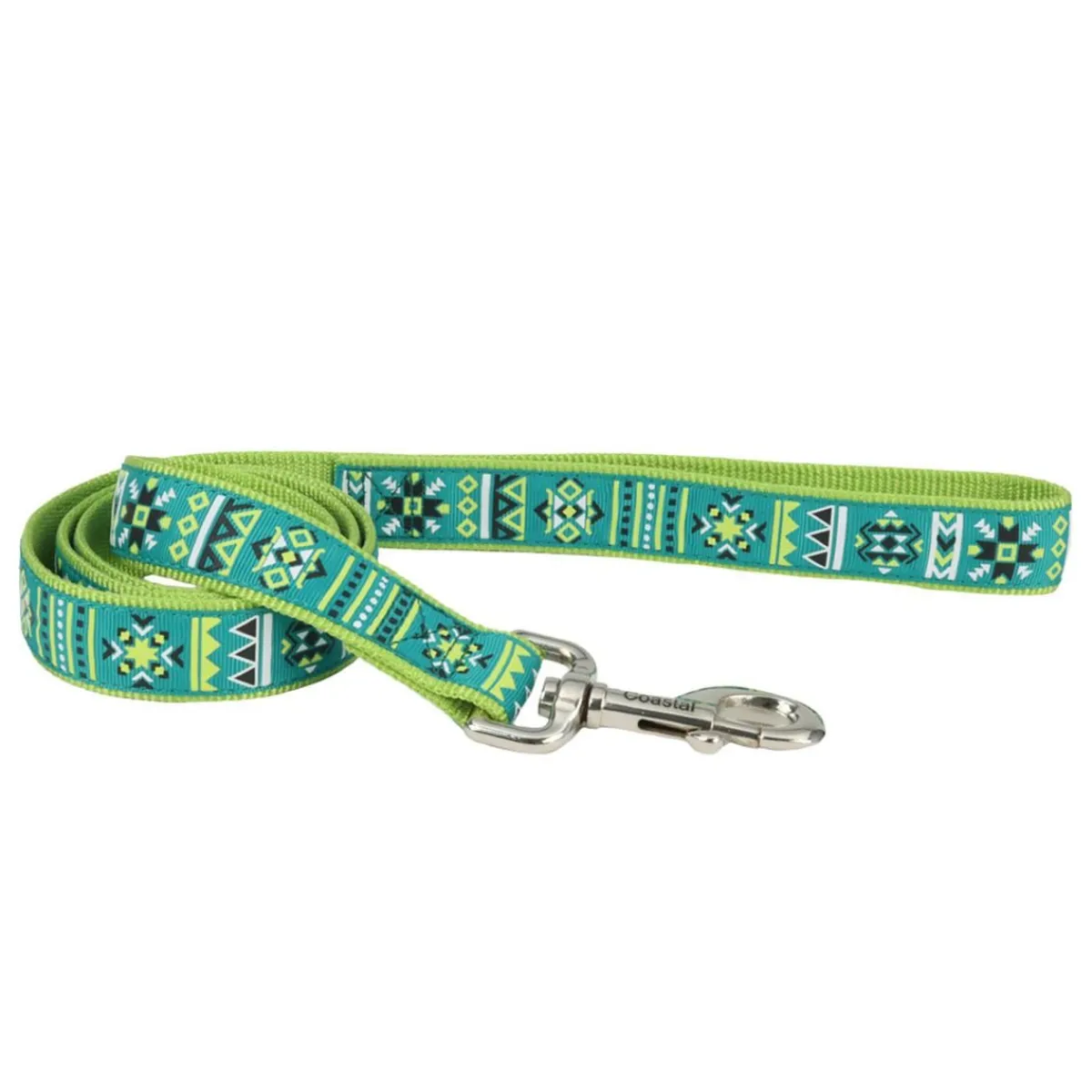 Ryan's Pet Supplies Coastal Single-Ply Ribbon Dog Leash 1" x 6'
