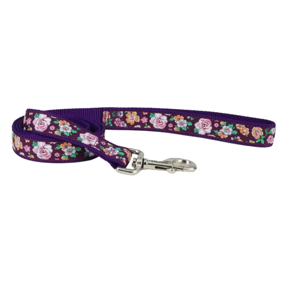 Ryan's Pet Supplies Coastal Single-Ply Ribbon Dog Leash 1" x 6'