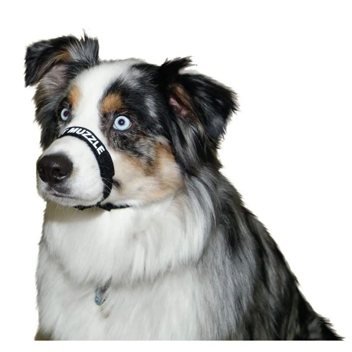 Ryan's Pet Supplies Comfort Muzzle Large/Black 16"-24"