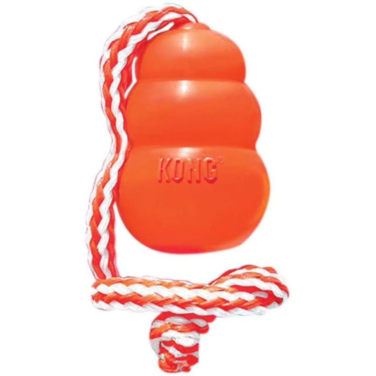 Ryan's Pet Supplies Cool KONG