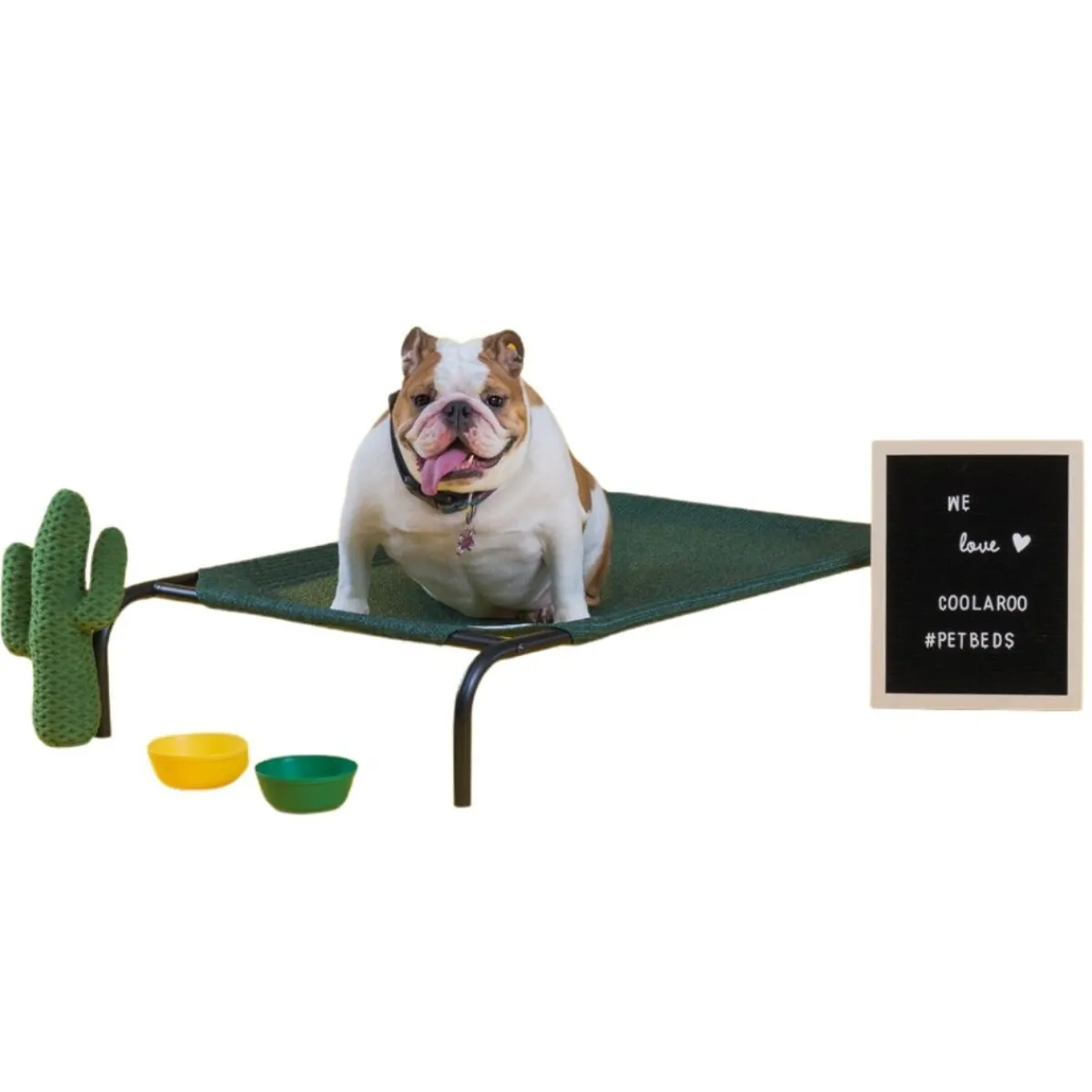 Ryan's Pet Supplies Coolaroo Pet Bed - Medium