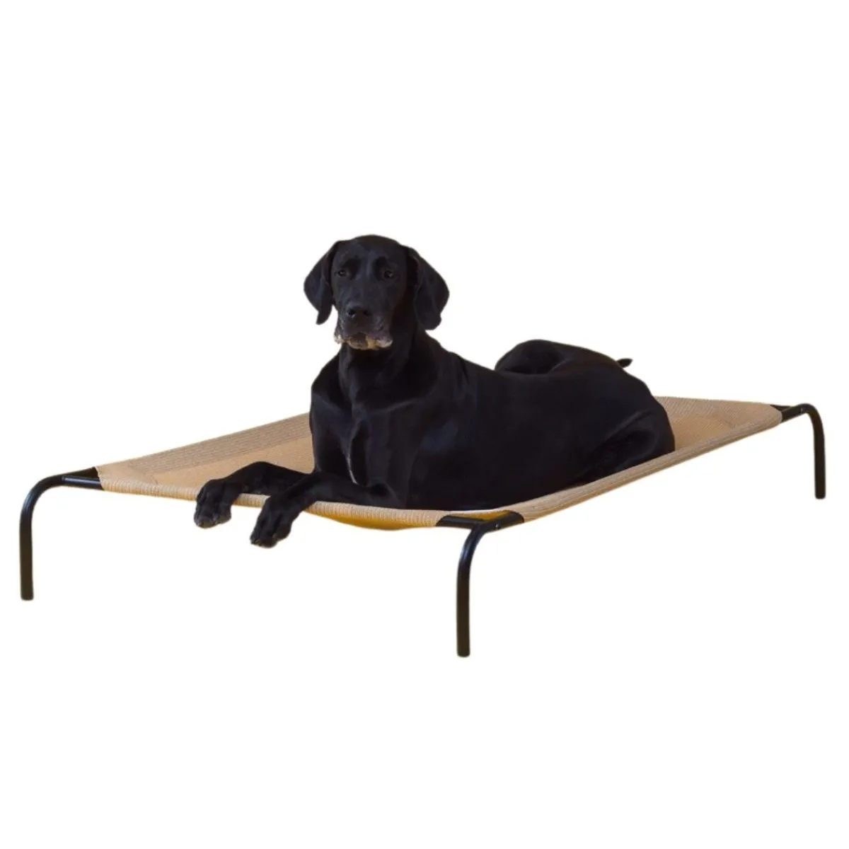 Ryan's Pet Supplies Coolaroo Pet Bed XL