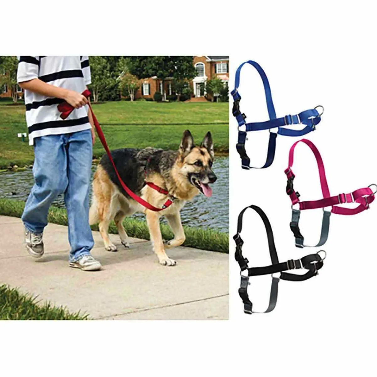 Ryan's Pet Supplies Easy Walk Harness - Size Medium for Dogs 25 - 60 Lbs.