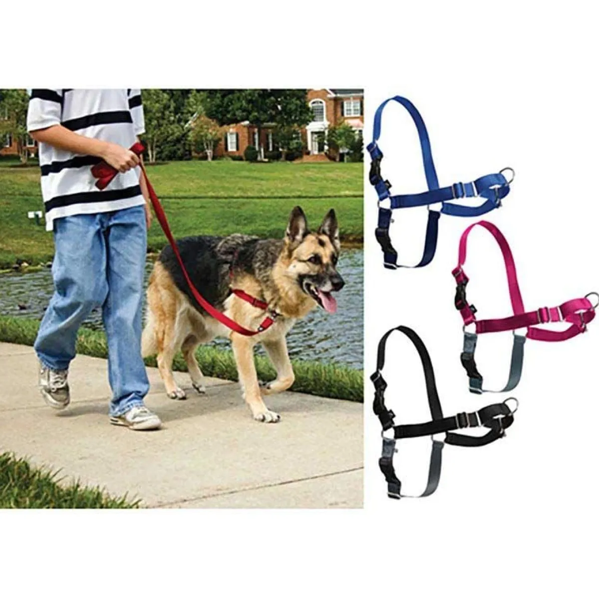 Ryan's Pet Supplies Easy Walk Harness for Large Dogs 60 - 130 Lbs