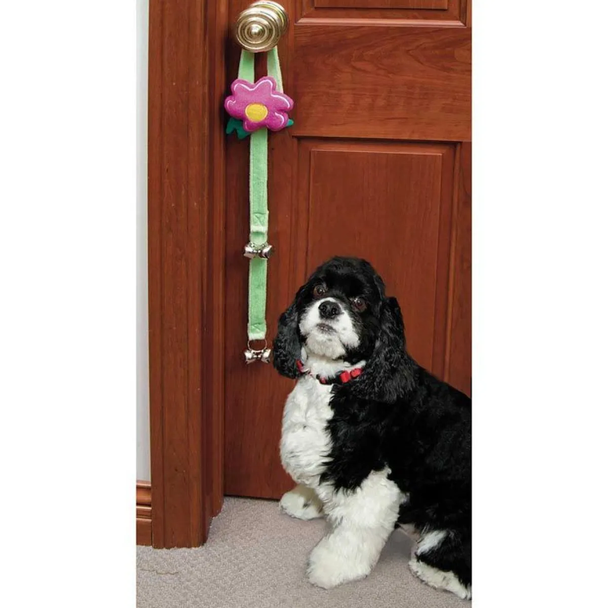 Ryan's Pet Supplies Flower Potty Training Bells
