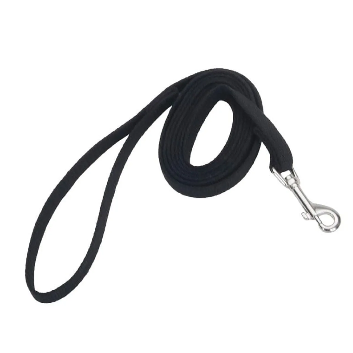 Ryan's Pet Supplies 6 Foot Coastal Training Leads